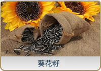葵花籽